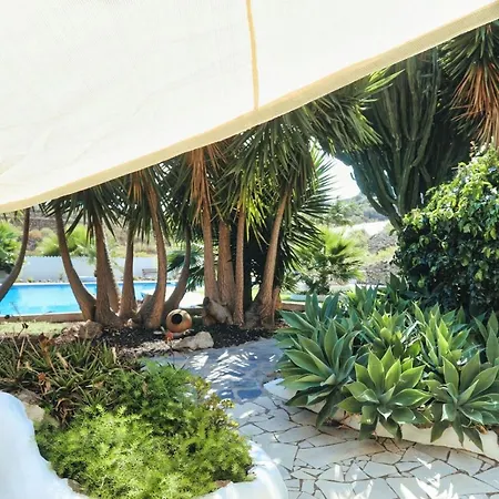 Vino Tinto 5s Apartamento Icod De Los Vinos