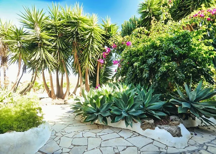 Apartamento Vino Tinto 5s *