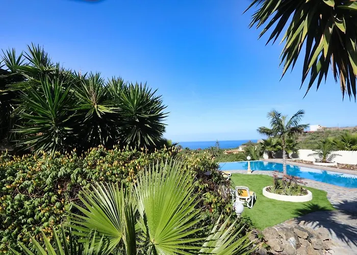 Vino Tinto 5s Icod De Los Vinos