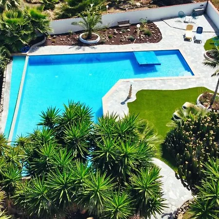 Vino Tinto 5s Icod De Los Vinos