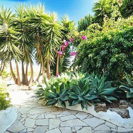 Appartement Vino Tinto 5s *