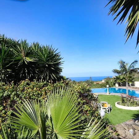 Vino Tinto 5s 伊科德·德·洛斯·维诺斯