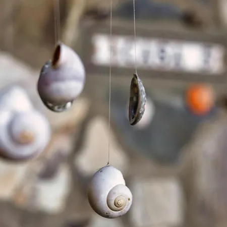 Vino Tinto 5s 伊科德·德·洛斯·维诺斯