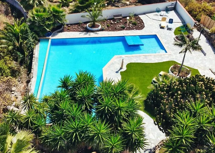 Vino Tinto 5s Icod De Los Vinos