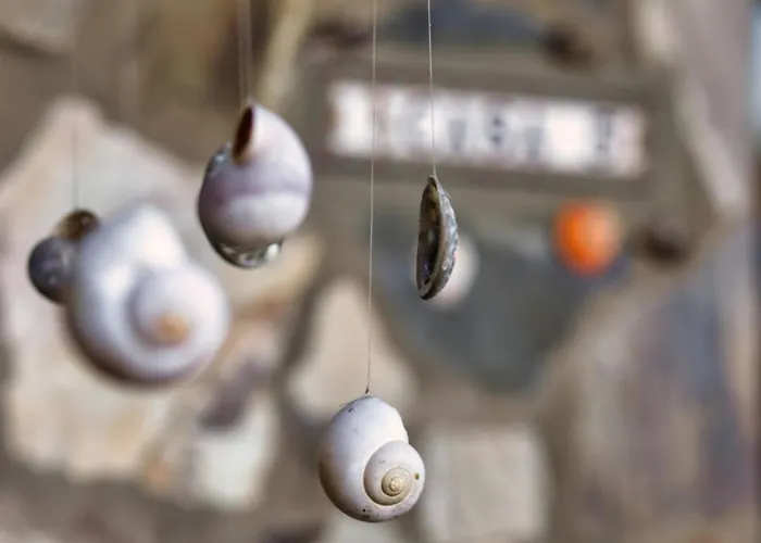 Vino Tinto 5s Icod De Los Vinos